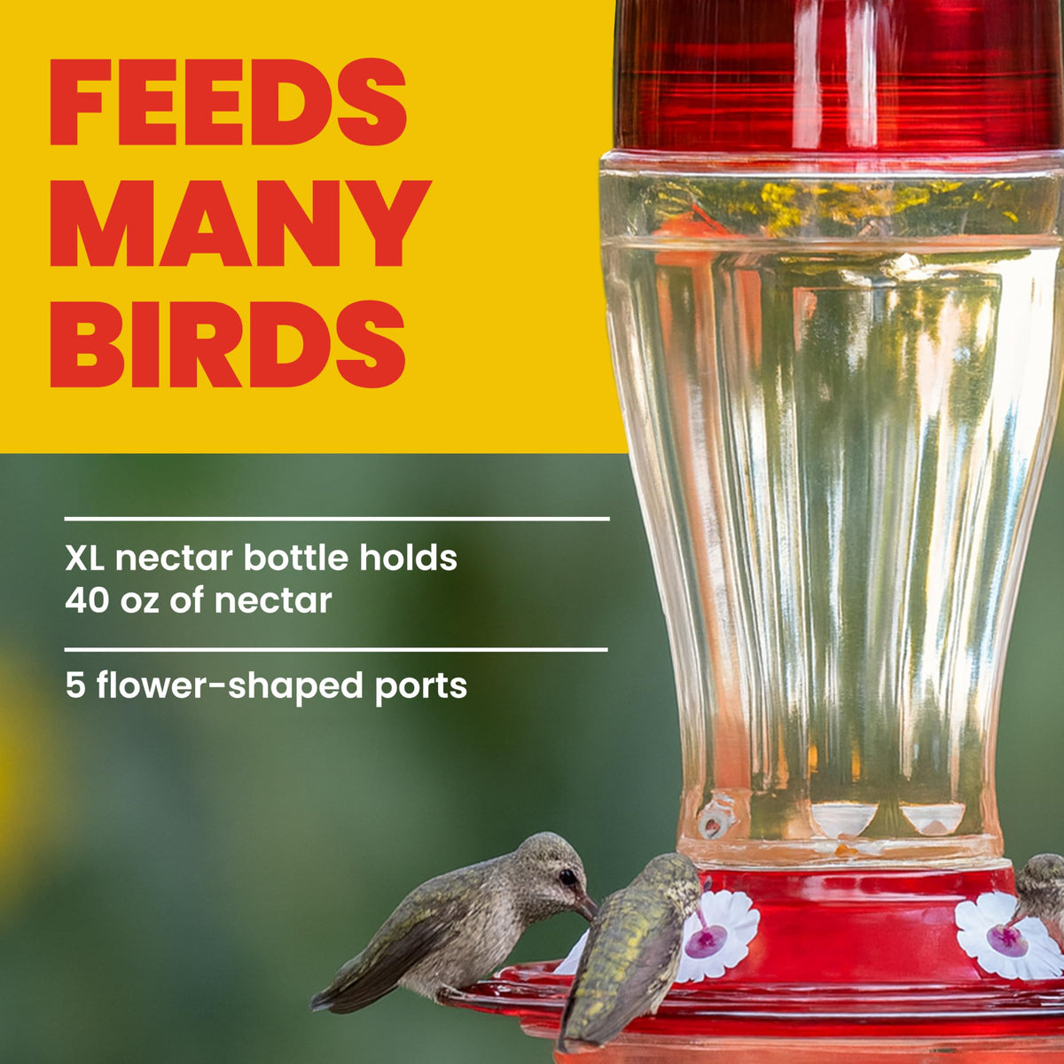 Wide neck opening simplifies filling for More Birds Big Gulp.