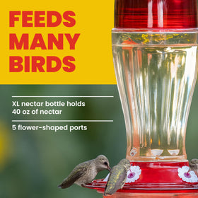 Wide neck opening simplifies filling for More Birds Big Gulp.
