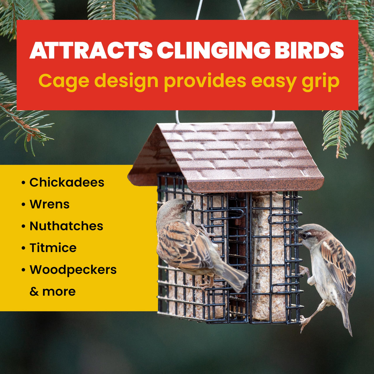 More Birds clinging-bird cage grid supports titmice and nuthatches during feeding.