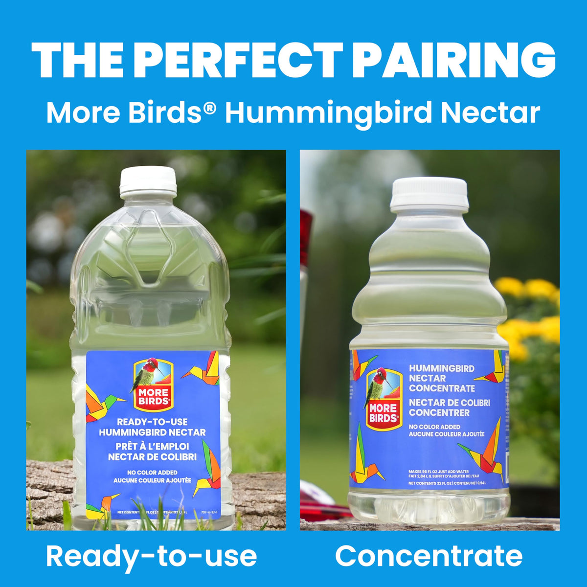 More Birds detachable flat base simplifies cleaning and maintenance between visits