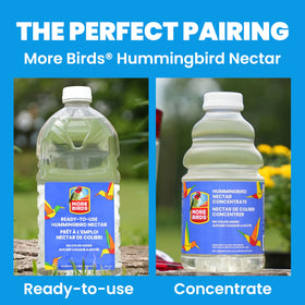 More Birds detachable flat base simplifies cleaning and maintenance between visits