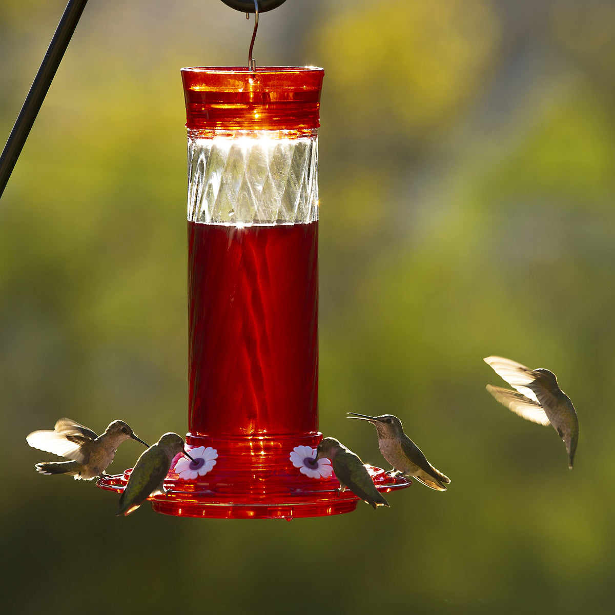 More Birds Diamond detachable base enables thorough cleaning and maintenance.
