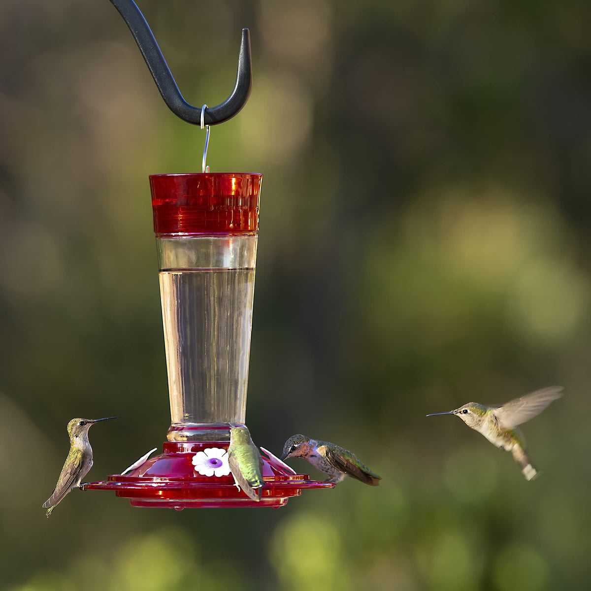 More Birds easy-clean feeder designed for quick hand washing