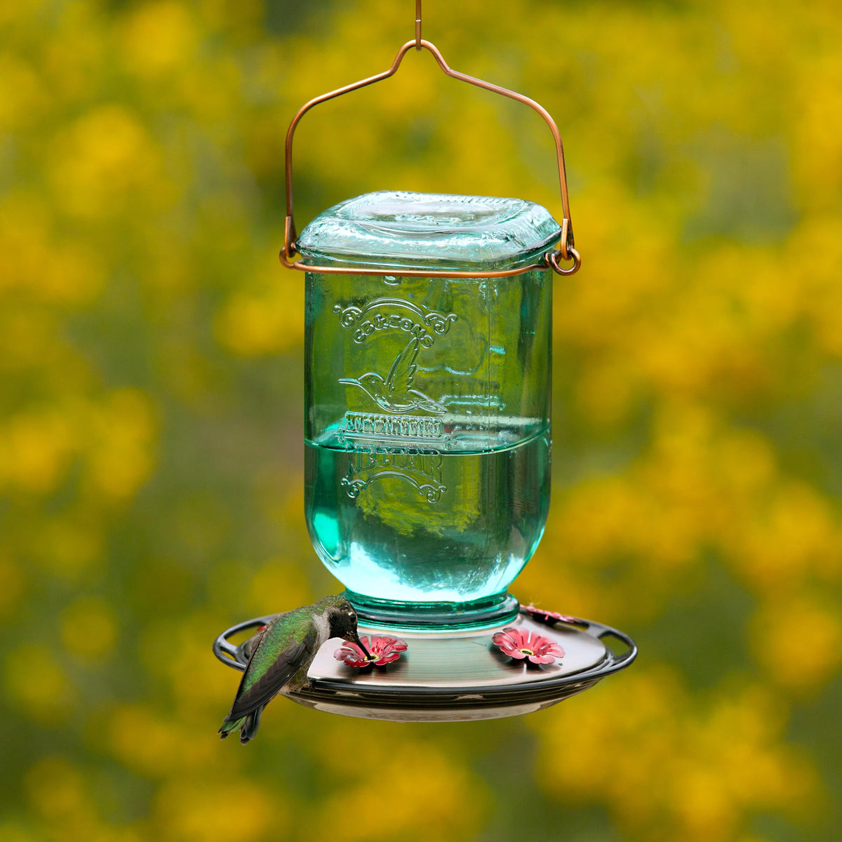 More Birds Mason Jar feeder built-in hanger for versatile placement.