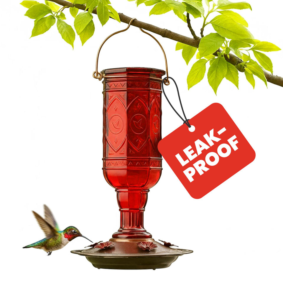 More Birds Red Jewel bottle closeup highlighting vivid glass and vintage charm.