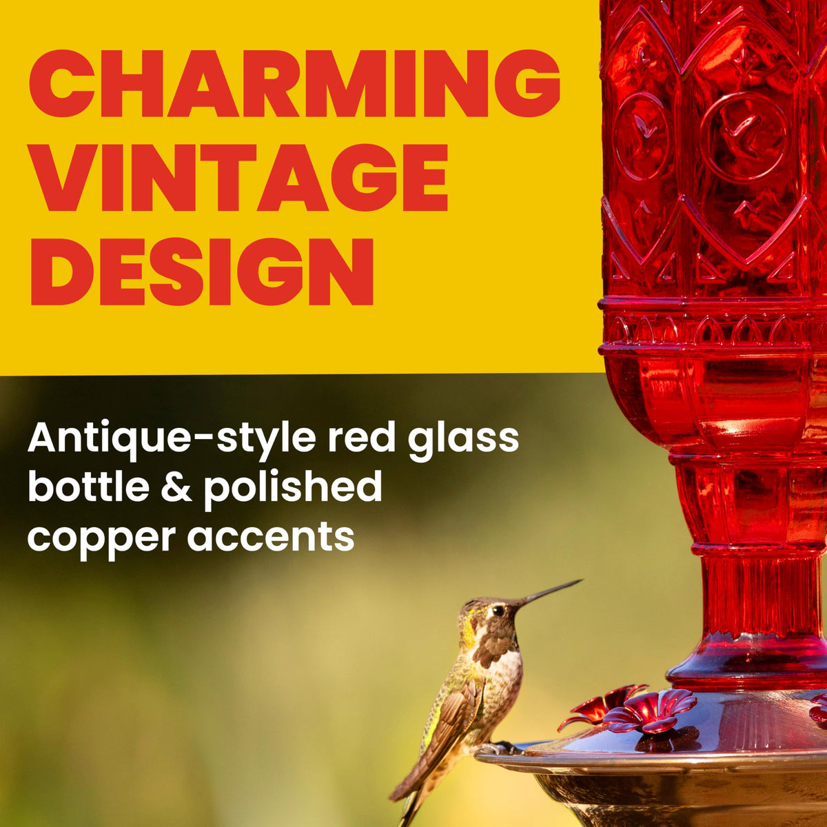 More Birds Red Jewel glass bottle stands out as a focal point during sunny days.