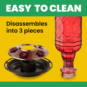 More Birds Red Jewel bottle with wide neck makes refilling easy over the sink.