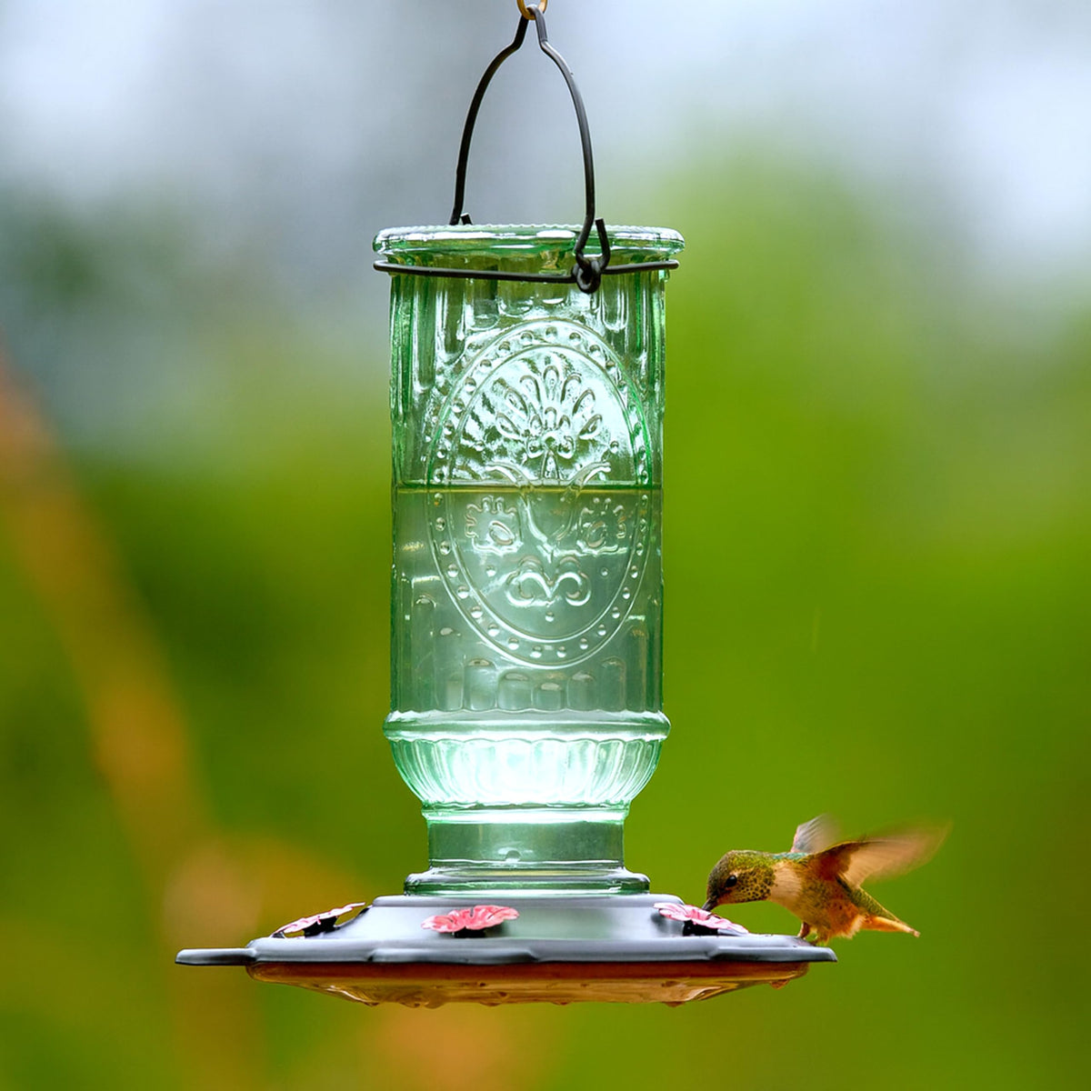 Sturdy metal hanger on the More Birds feeder for versatile placement.
