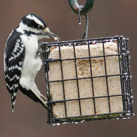 More Birds weather-resistant black finish suited for year-round outdoor use