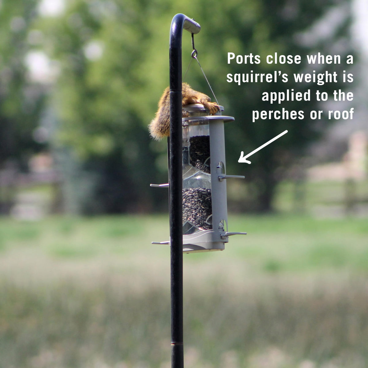More Birds X-1 satin nickel finish blends with outdoor decor.