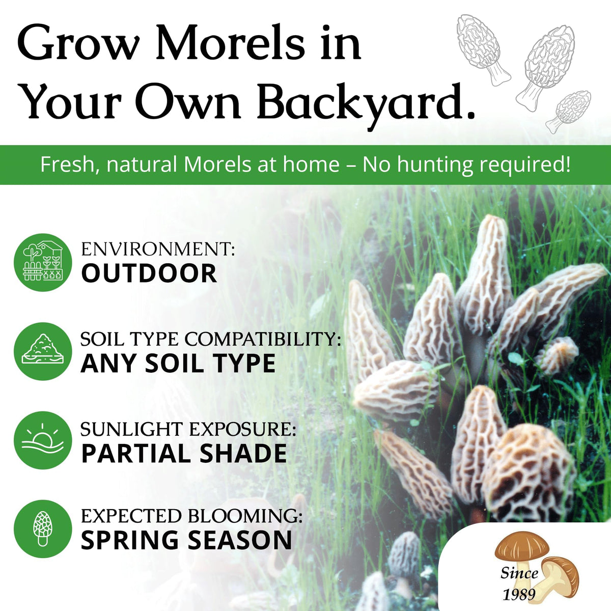 MOREL HABIT KIT backyard mushroom garden illustrating year-round cultivation potential