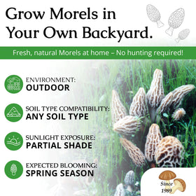 MOREL HABIT KIT backyard mushroom garden illustrating year-round cultivation potential