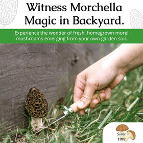 MOREL HABITAT KIT family-owned brand brings trusted cultivation expertise to your garden