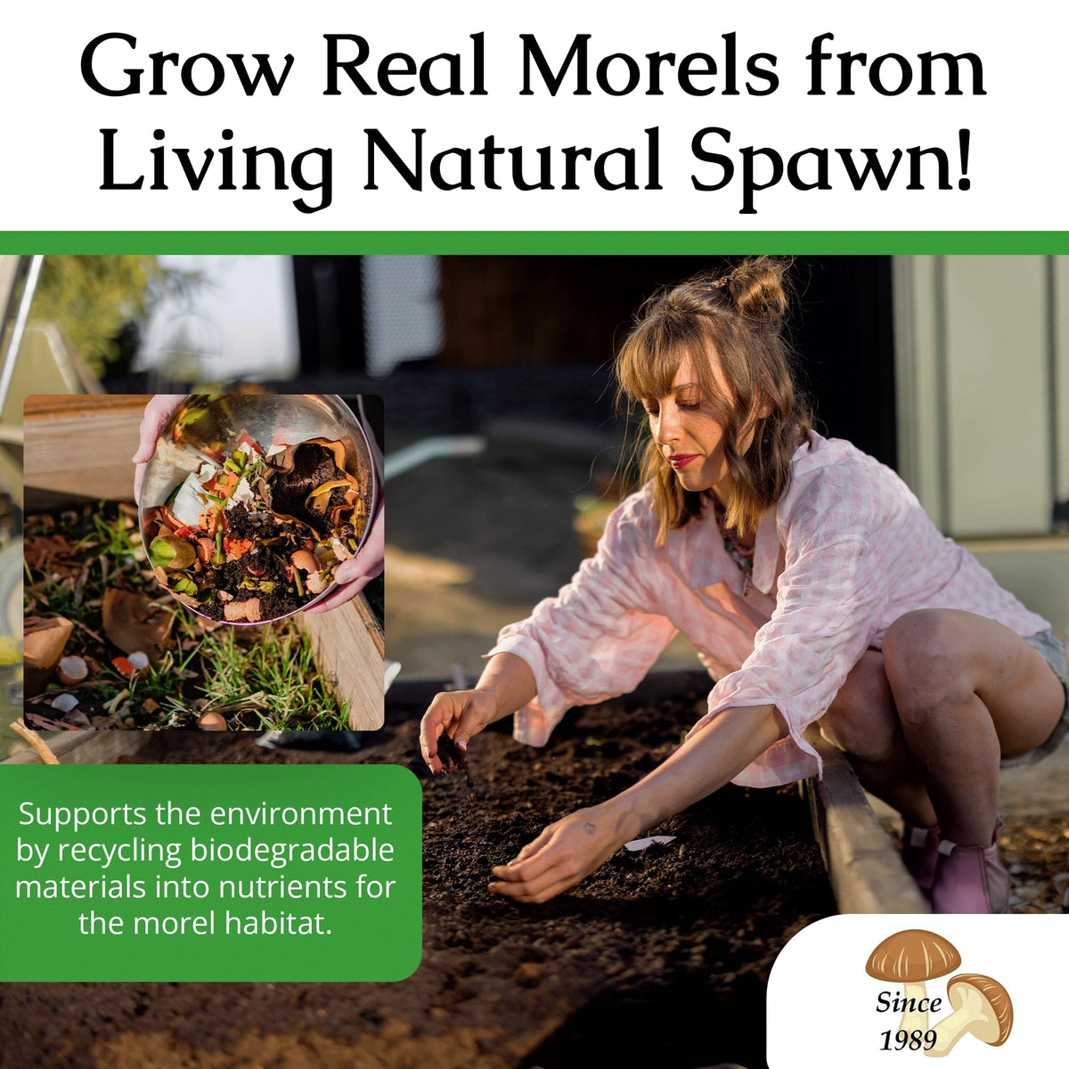 MOREL HABIT KIT packaged spawn ready to begin your morel project