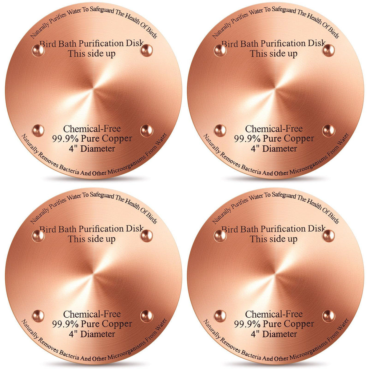 MorningRo birdbath copper disk 4-inch top view showing clean water surface