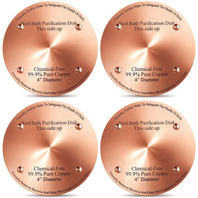 MorningRo birdbath copper disk 4-inch top view showing clean water surface