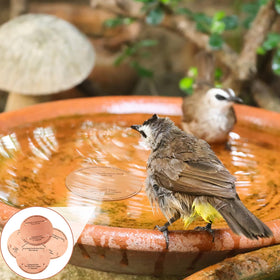 MorningRo copper disk compatible with existing fountains and setups