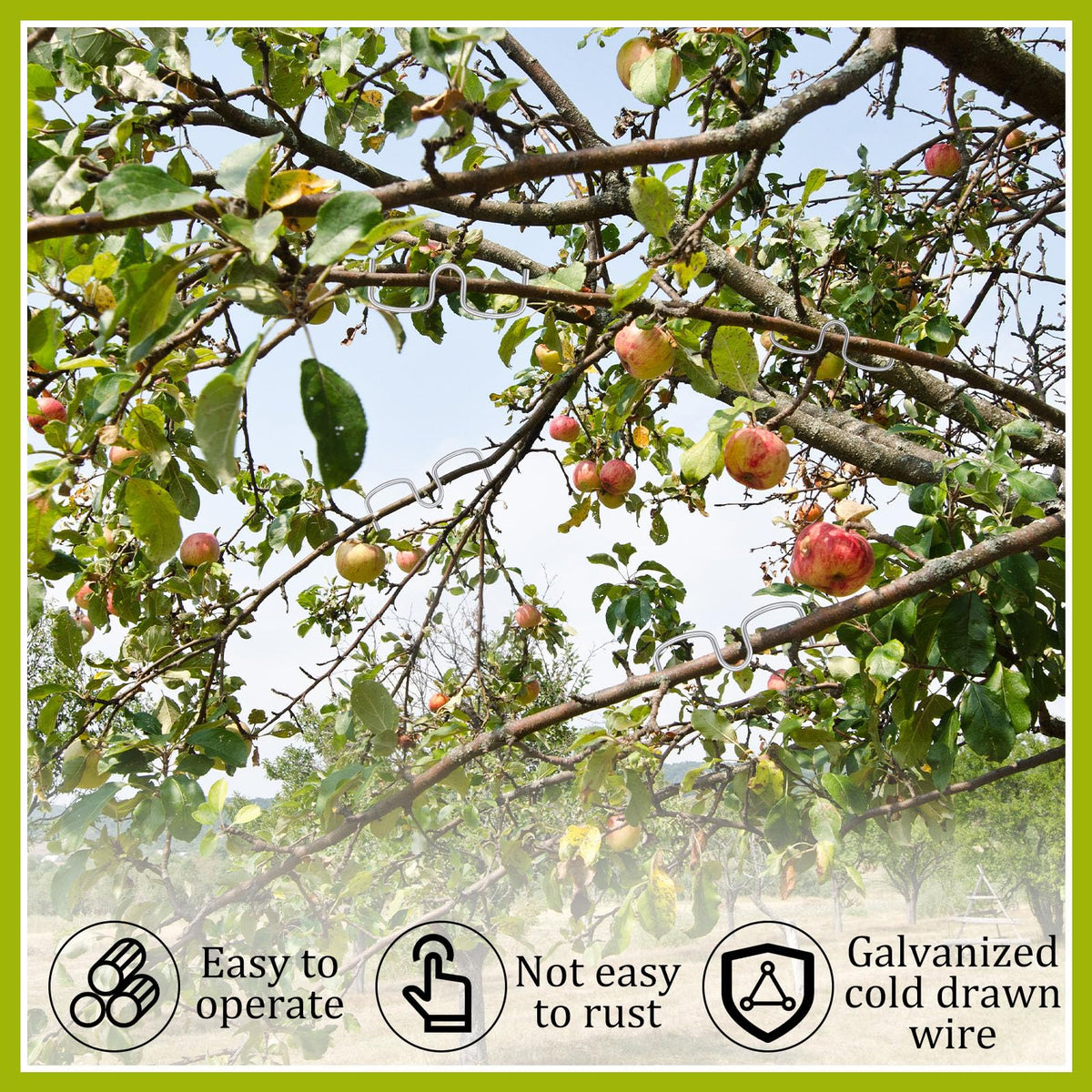 MorningRo open-angle pullers prevent entanglement and promote even light access.