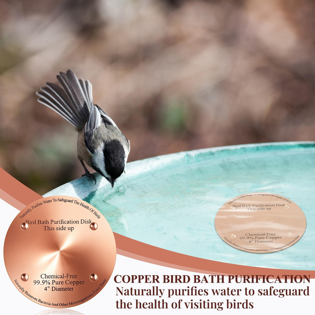 MorningRo copper disk used in an outdoor bath maintaining water readability