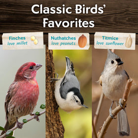 100 percent edible Morning Song seed blend reduces waste and cleanup.