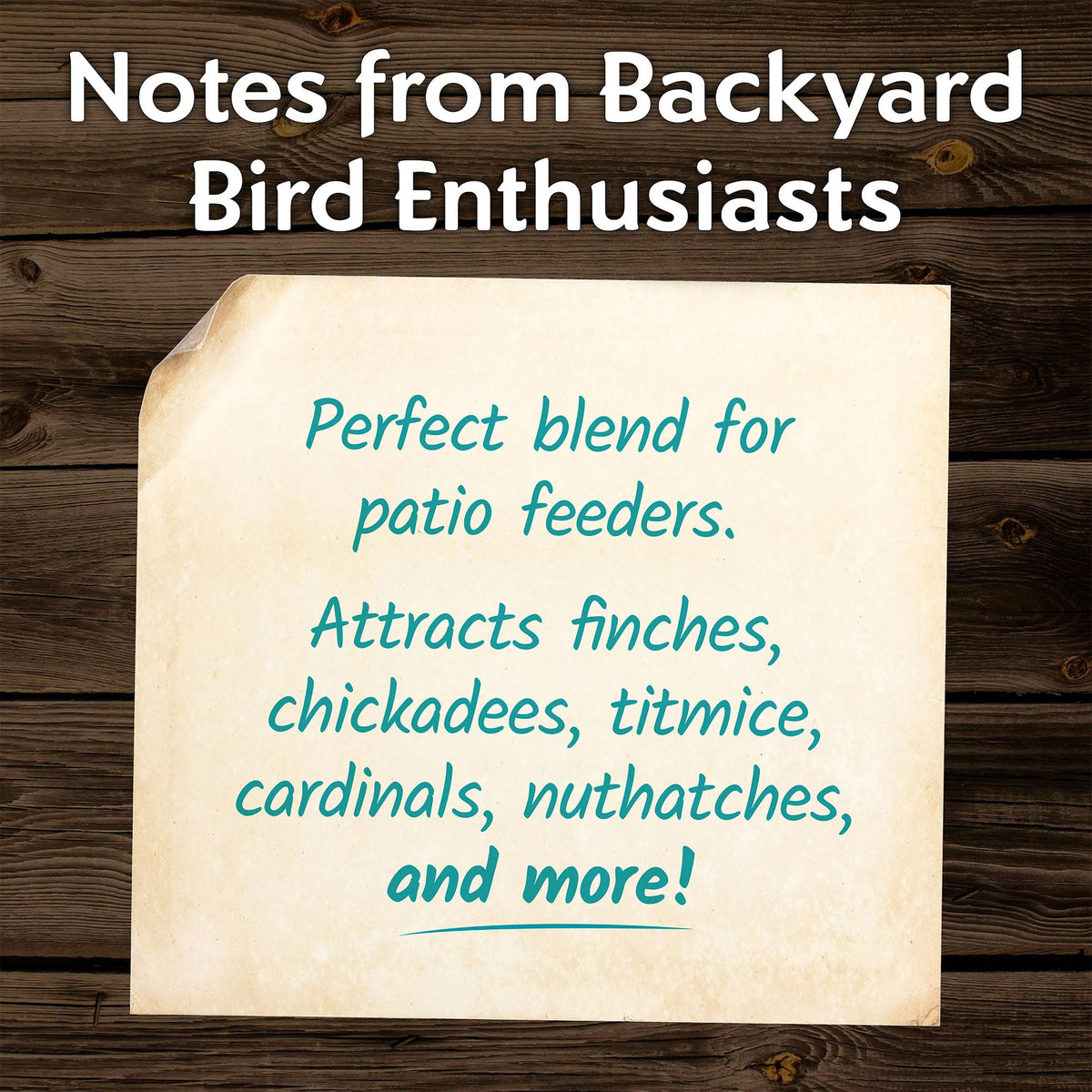 Morning Song shell-free blend with canary seed and sunflower chips provides high-energy meals.