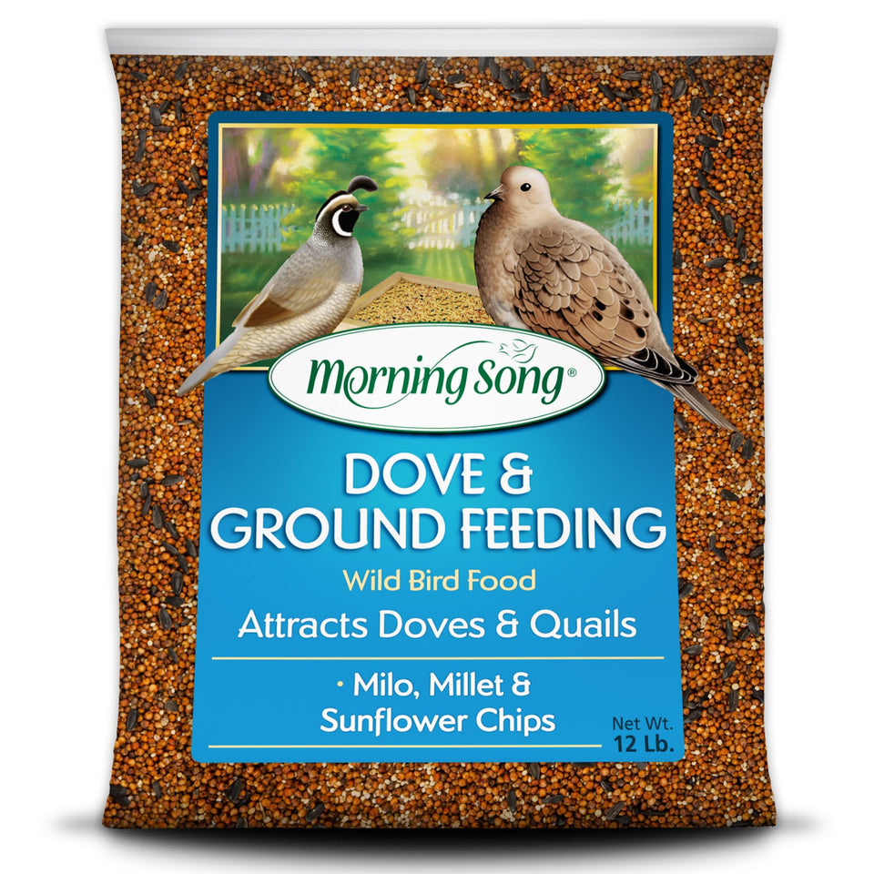 Morning Song Dove ground feeding seed bag attracts ground-feeding doves and quail for peaceful backyard viewing.