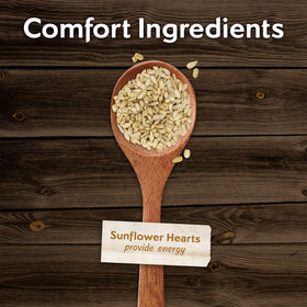 Morning Song for outdoor feeders attracting finches, cardinals and chickadees in any season