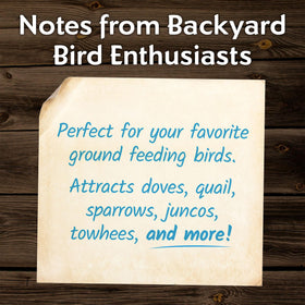 Morning Song nutritious seed mix closeup reveals varied grains for birds.