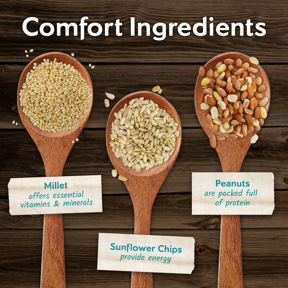 Morning Song mix ideal for outdoor feeders, supporting tidy feeding on decks and patios.