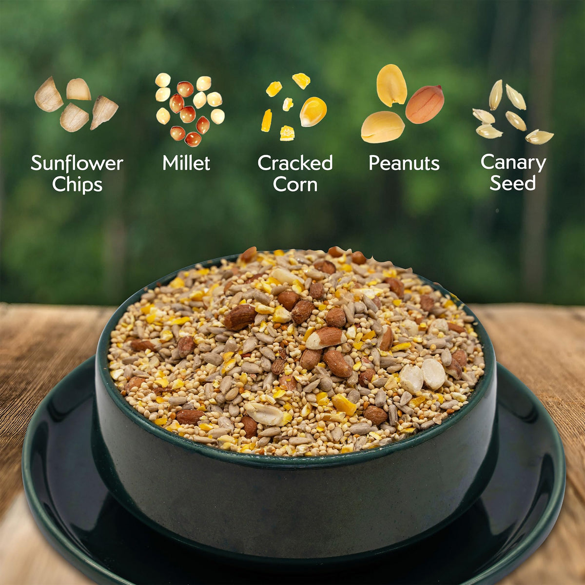 Morning Song shell-free seed mix enables no-shell feeding for tidy backyard birding.