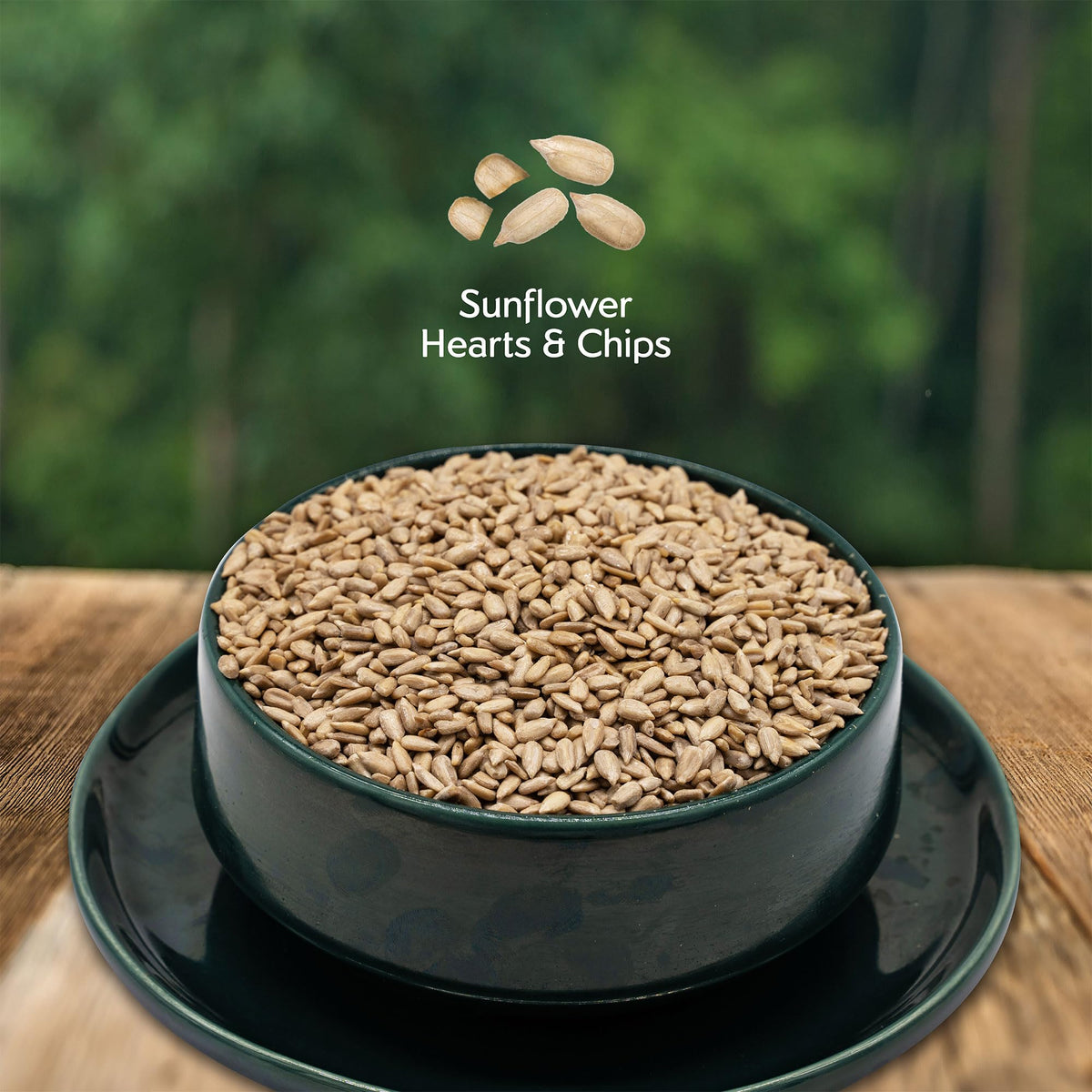 Morning Song shell-free sunflower hearts image showing clean feeding with no waste