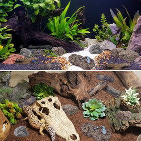 Morofme fairy garden ornaments diversify tiny garden scenes