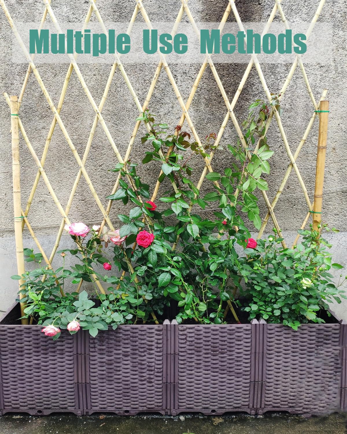 Moromyse DIY trellis idea highlights natural structure for flowers and vegetables.