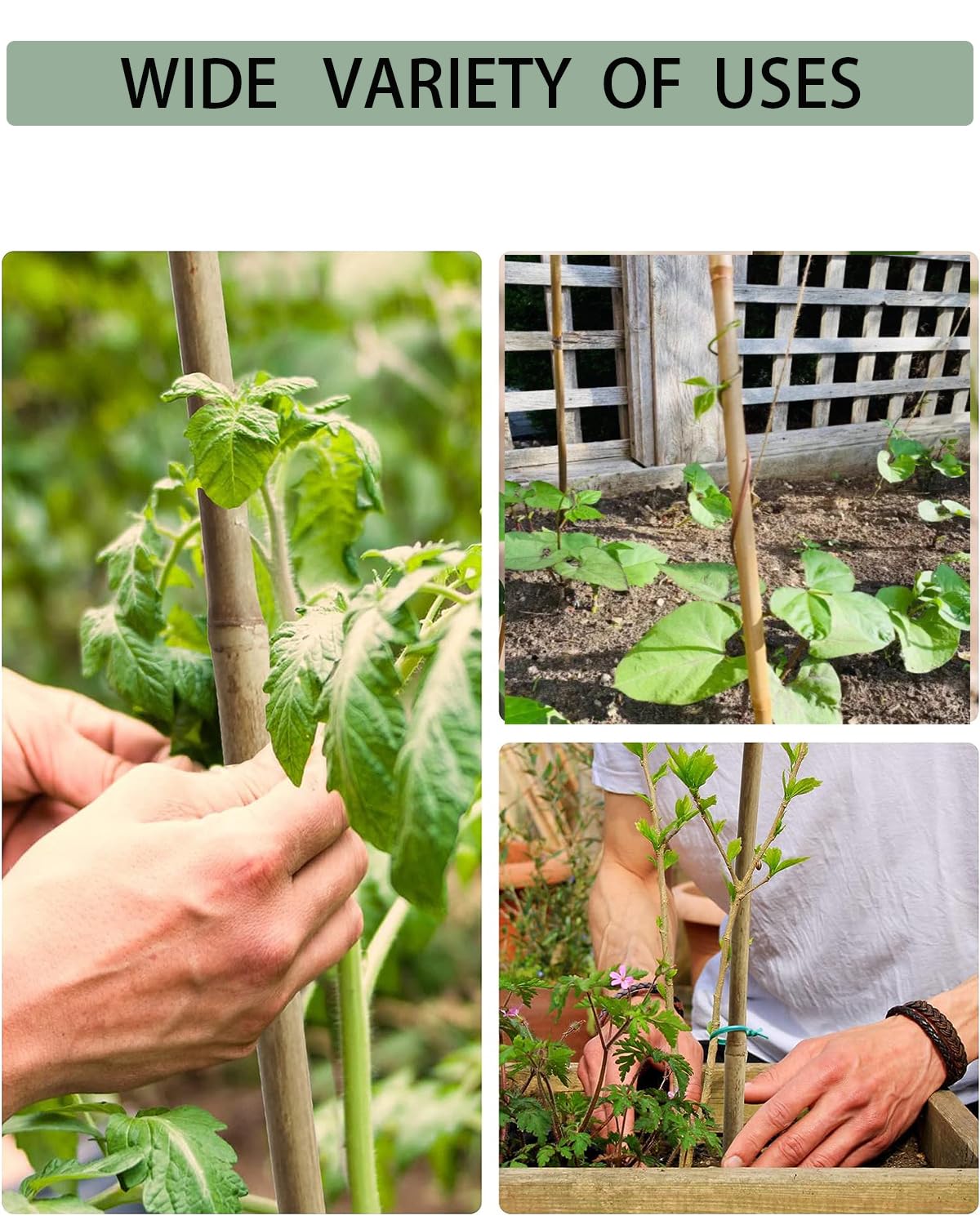 Moromyse eco-friendly bamboo packaging emphasizes sustainable, plastic-free garden essentials.