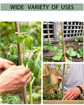 Moromyse eco-friendly bamboo packaging emphasizes sustainable, plastic-free garden essentials.