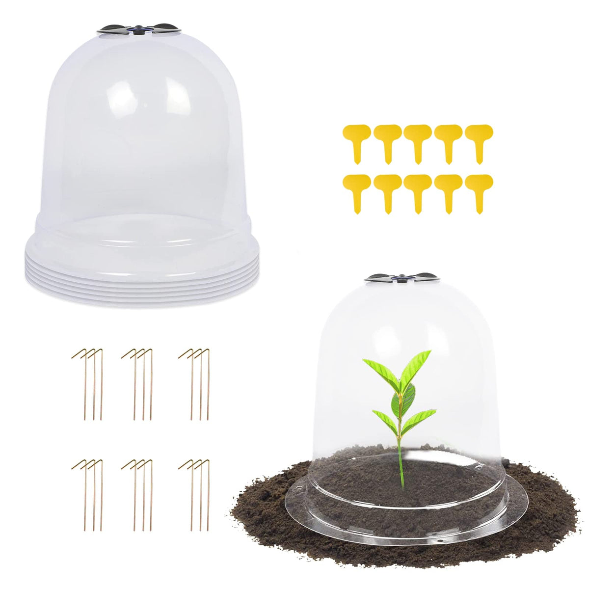MorTime six-pack garden cloche dome protecting seedlings from frost