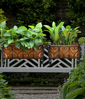 MorTime includes breathable coir mats for plant display