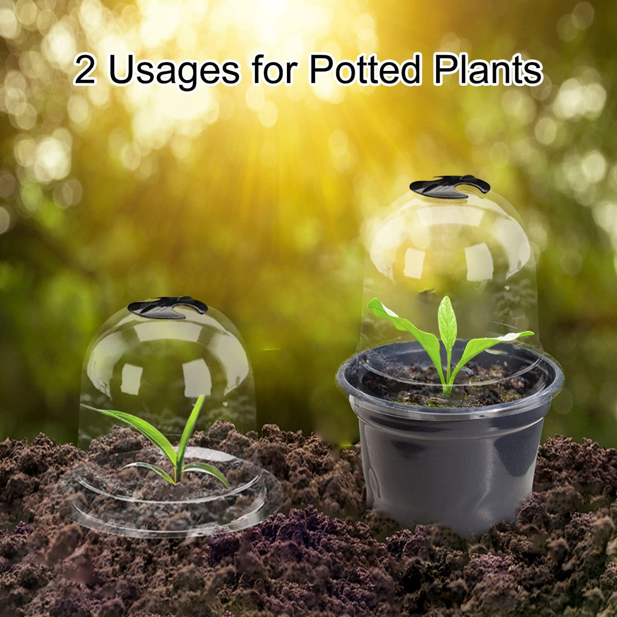 MorTime easy installation and coverage for seedlings in pots