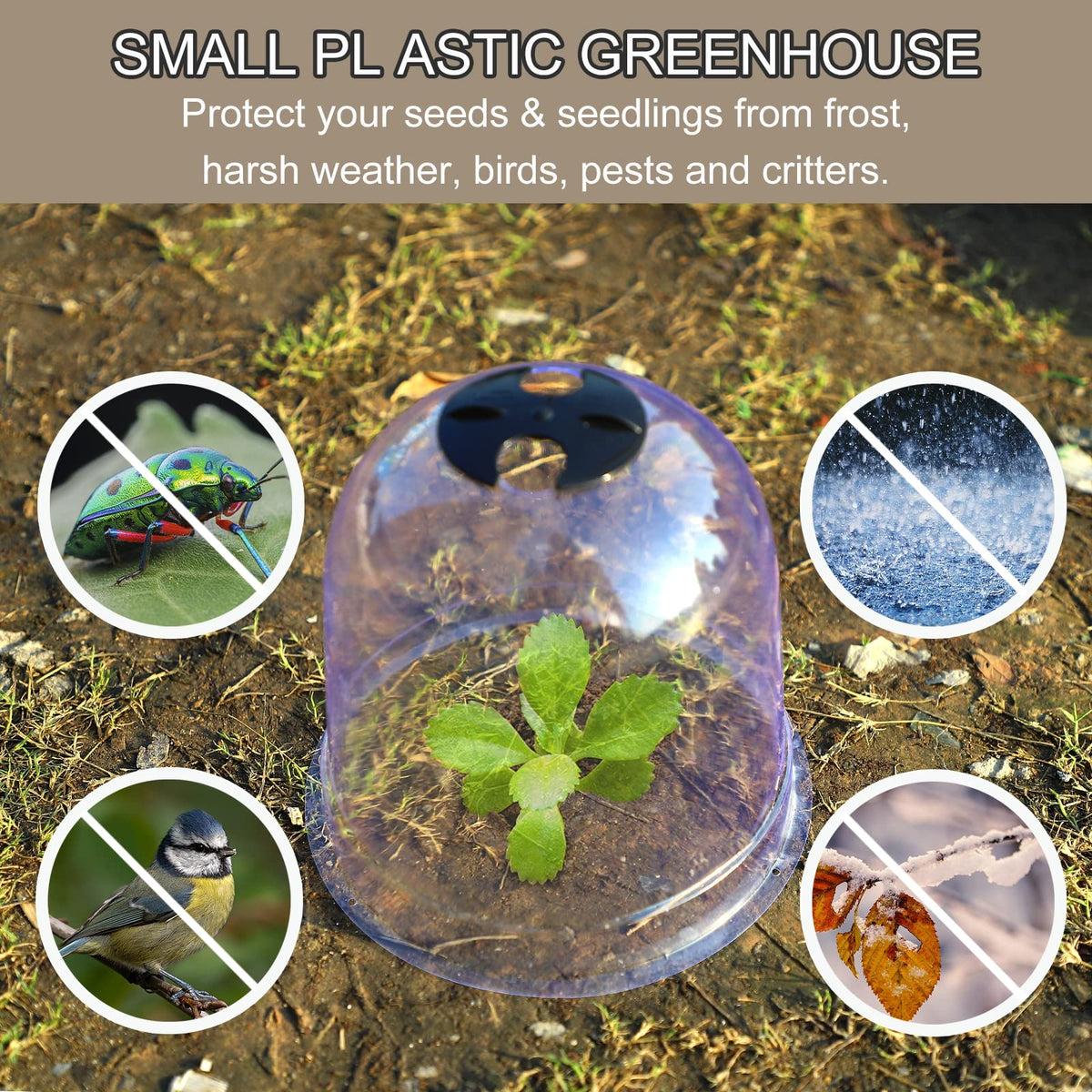 MorTime including ground pegs and plant labels for organization