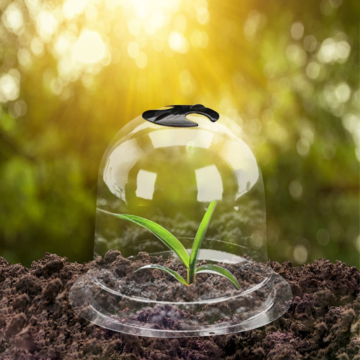 MorTime reusable mini greenhouse built from durable plastic