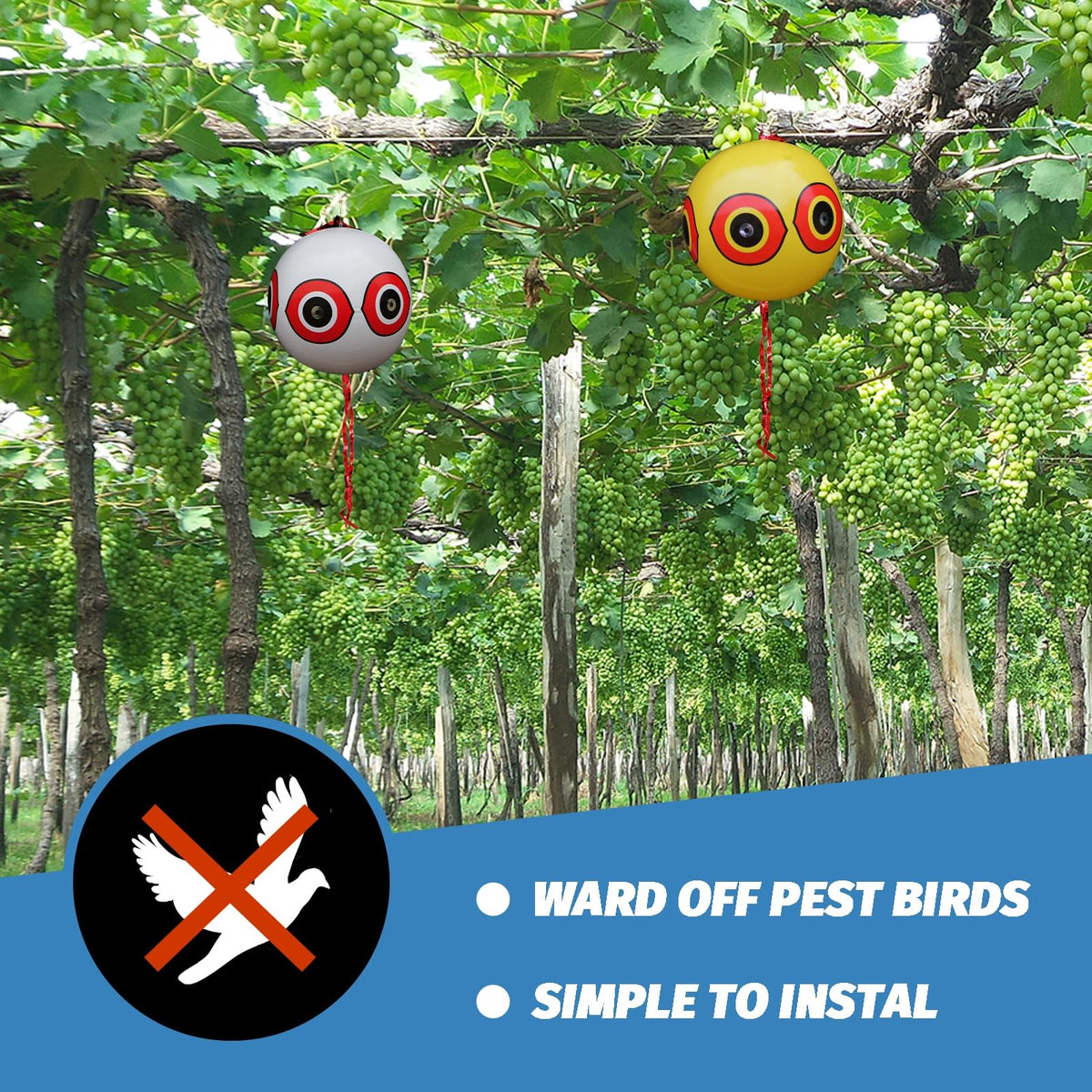 MorTime multi-application balloon suitable for gardens, balconies, yards, and pools.