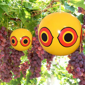 MorTime poolside balloon deters birds, protecting water features without harming wildlife.