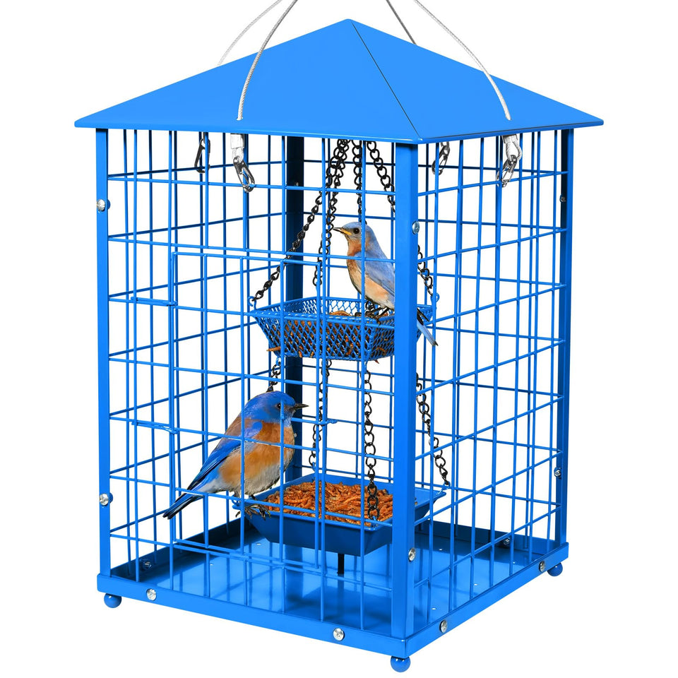 Mosloly Bluebird Feeder with caged design protecting seeds from larger birds.
