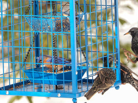 Mosloly Weatherproof roof keeps seeds dry during rain and snow.