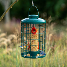 Mosloly caged bird feeder 3lb capacity for longer outdoor feeding