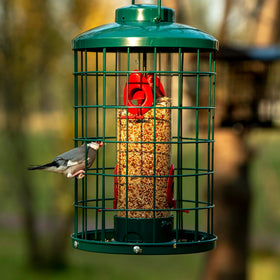 Mosloly caged bird feeder adjustable bottom switch controls seed flow