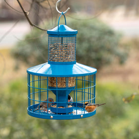Mosloly caged bird feeder blue tray view enables easy refills and cleaning