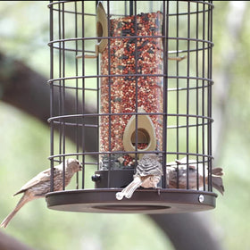 Mosloly bottom-switch helps control seed flow to the tray.