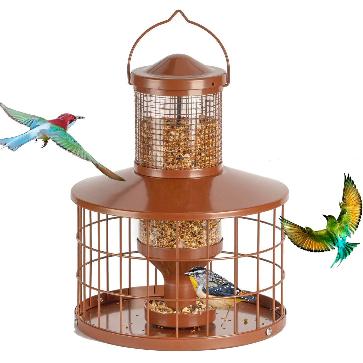 Mosloly caged bird feeder in brown exterior, ideal for backyard birdwatching.