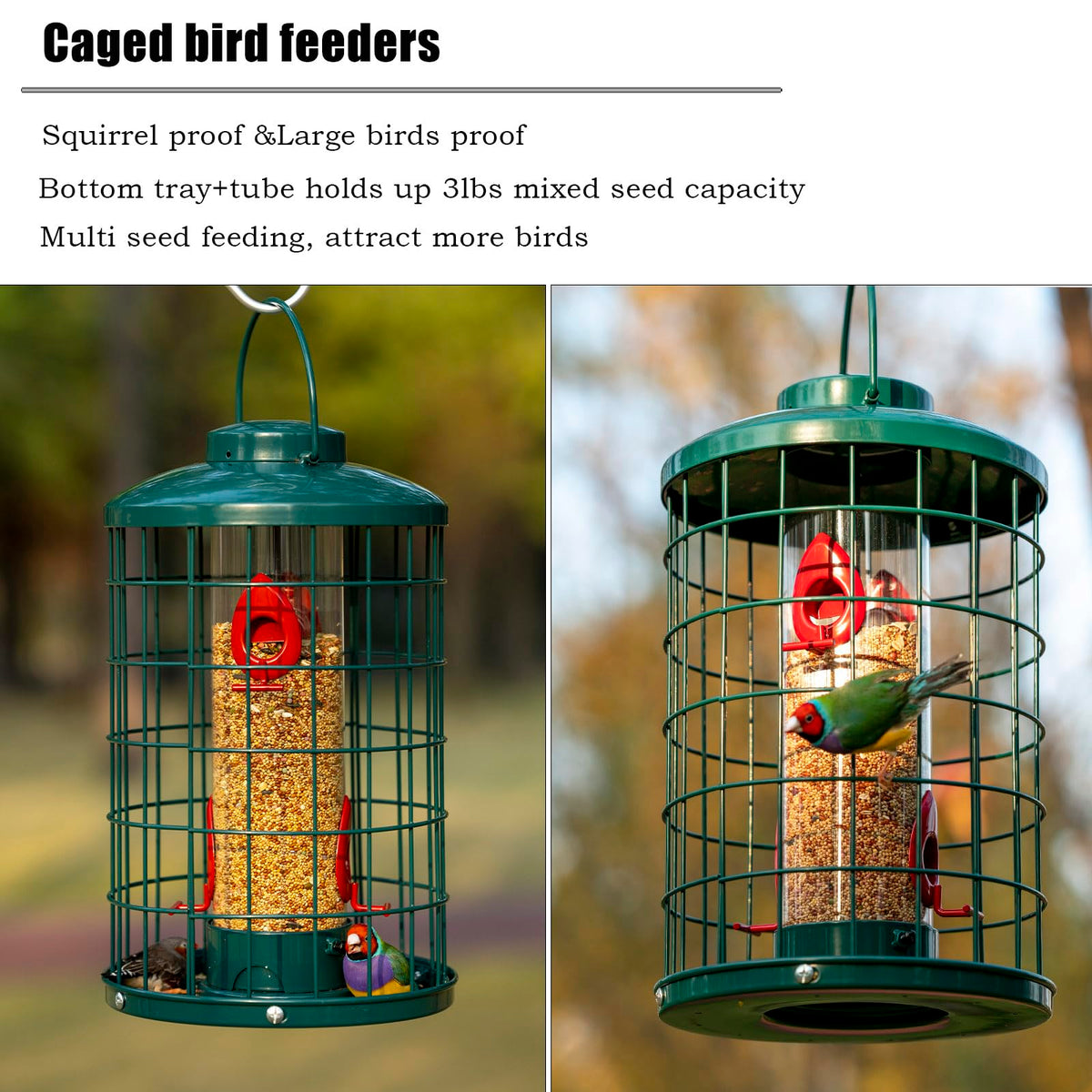 Mosloly caged bird feeder with clear tube close-up for easy seed monitoring